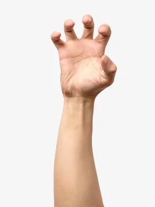 动物爪子手臂示意图素材免抠