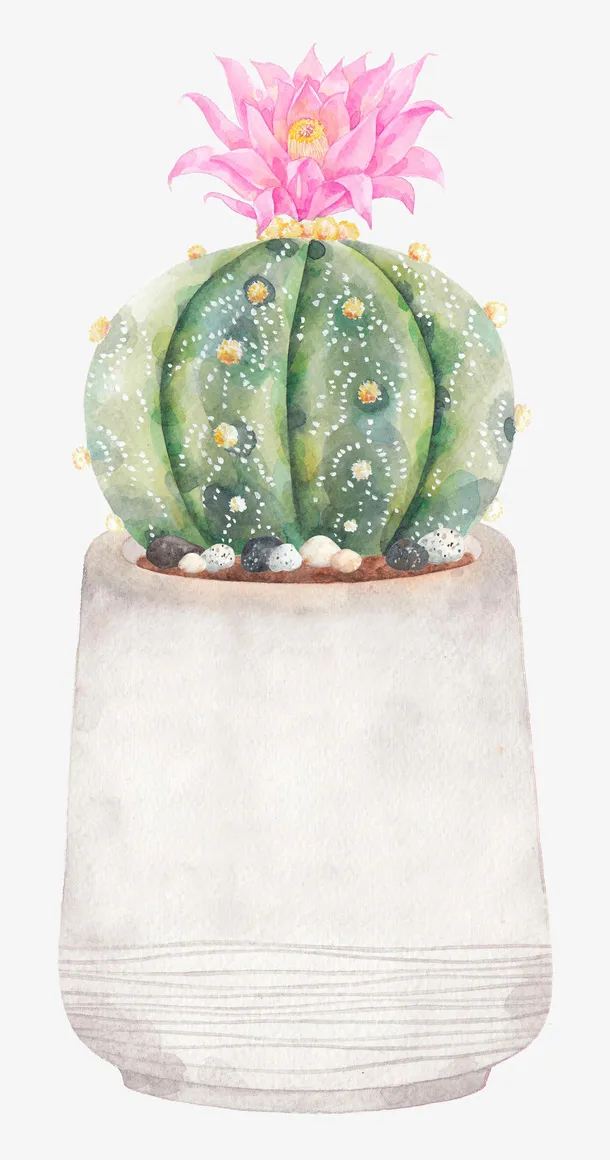 手绘彩色的仙人球免抠