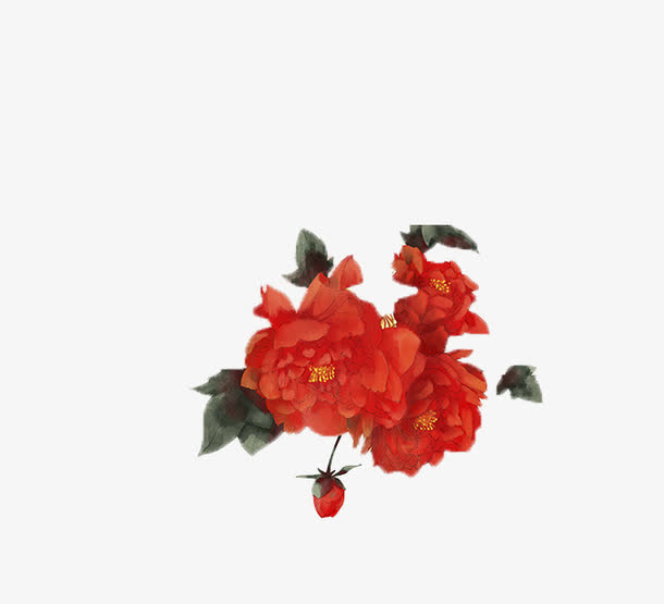 花朵免抠