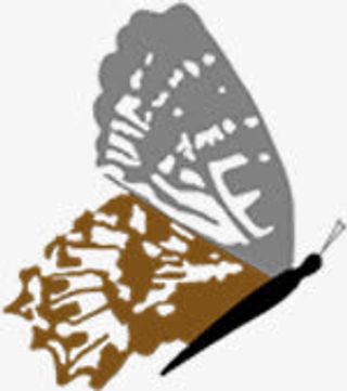 手绘灰棕色纹理蝴蝶免抠