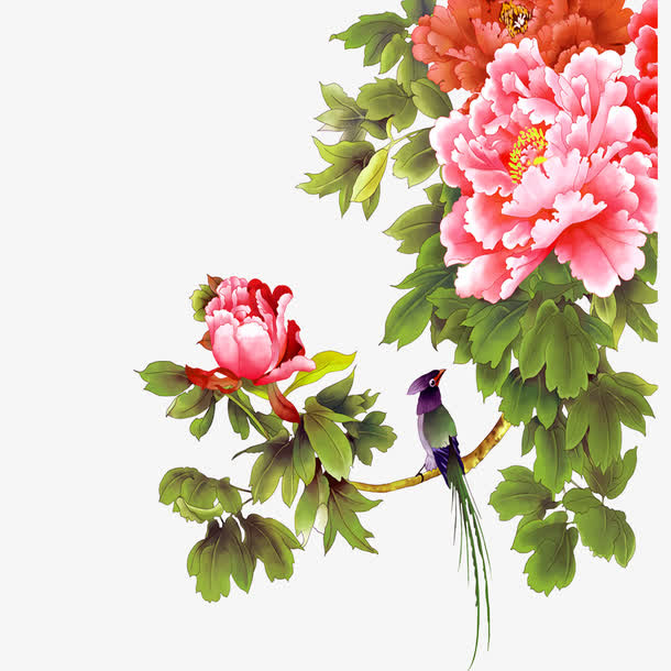 花鸟图免抠