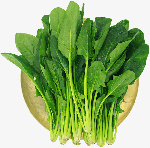 生鲜，蔬菜，菠菜，新鲜菠菜免抠