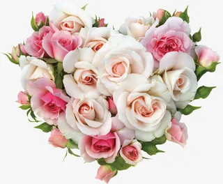 心形花、情人节、三八妇女节免抠