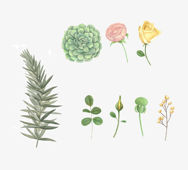 绿色植物组图免抠