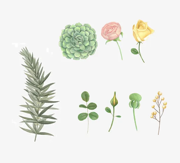 绿色植物组图免抠