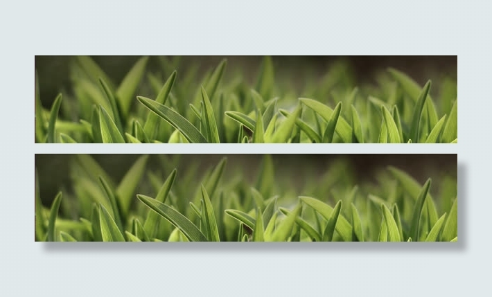 绿色草地萌芽海报背景