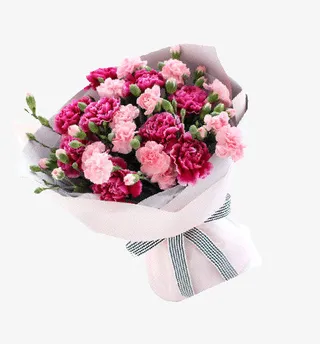 一束美丽鲜花免抠