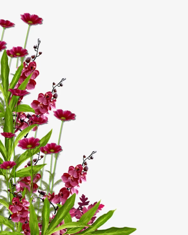 鲜花花朵树叶装饰素材免抠