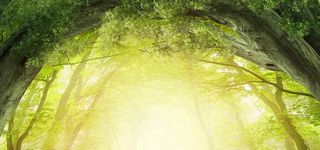 淘宝梦幻绿色背景高清