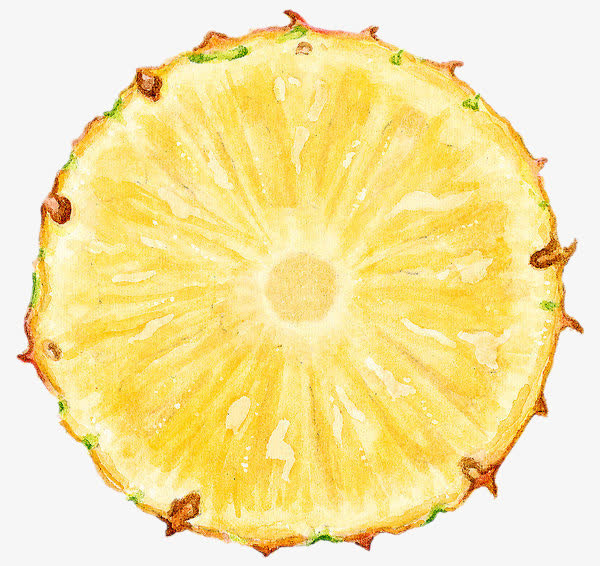 菠萝的切片免抠素材免抠