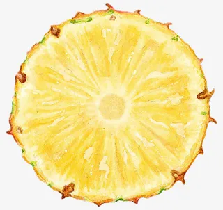 菠萝的切片免抠素材免抠