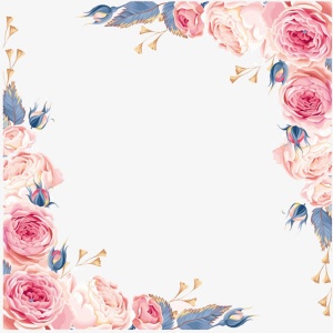 元素插画手绘玫瑰花边框免抠