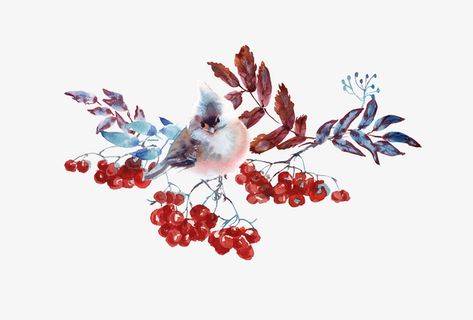 文艺清新花草海报设计装饰免抠