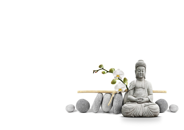 石头佛教兰花背景高清