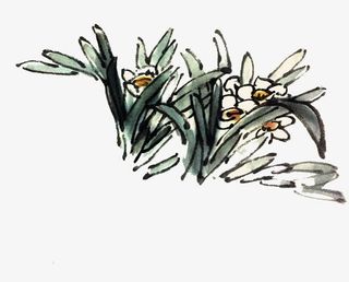 中国画水墨水仙画免抠