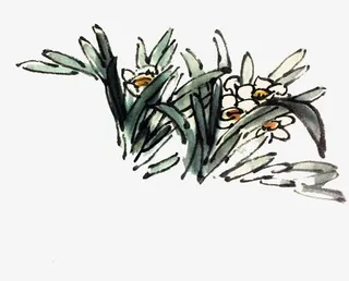 中国画水墨水仙画免抠