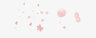 漂浮樱花花瓣免抠