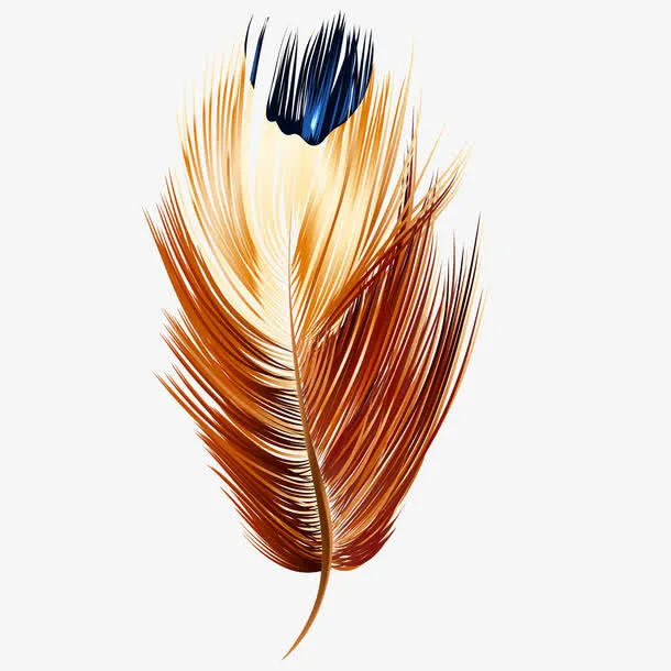 水彩羽毛矢量插画免抠
