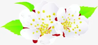 白色桃花艺术背景