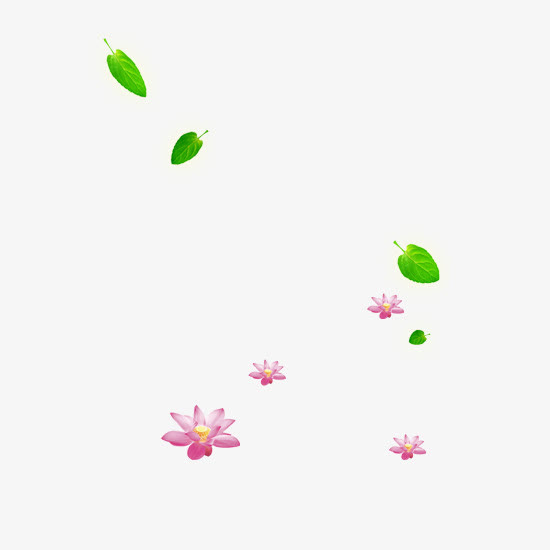 绿叶与红花免抠