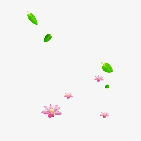 绿叶与红花免抠