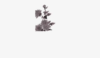 墨黑色花朵免抠