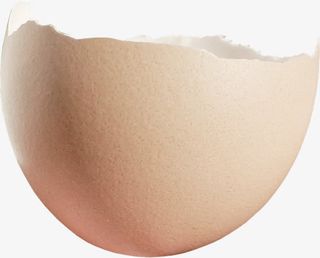 摔碎的蛋壳正面高清免抠