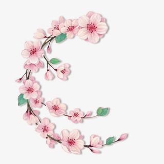 抽象花朵花卉桃花枝免抠手绘/卡通卡通元素