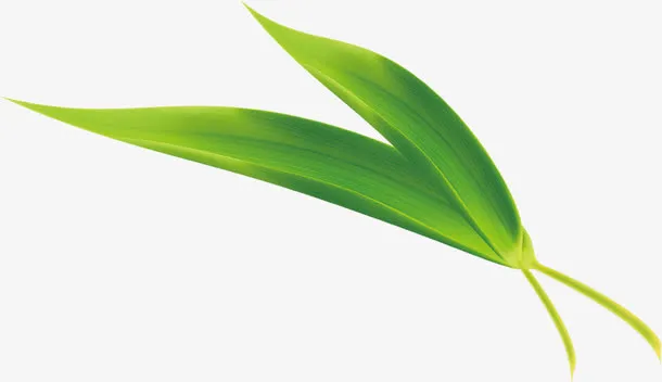 端午节粽叶绿叶免抠