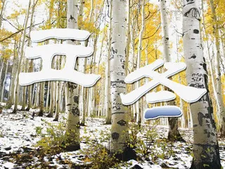 柏树林实景免抠