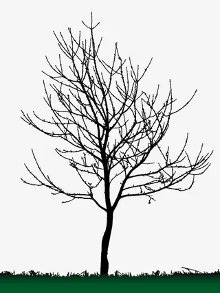 背景装饰枯树剪影矢量图