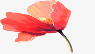 唯美粉色水墨春天花朵免抠