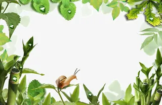 春天  绿色 边框  树叶免抠