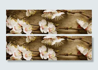 花卉 鲜花 清闲 植物 樱花 美丽 浪漫 梦幻  春天高清