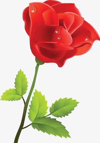 红色玫瑰边框图片免抠