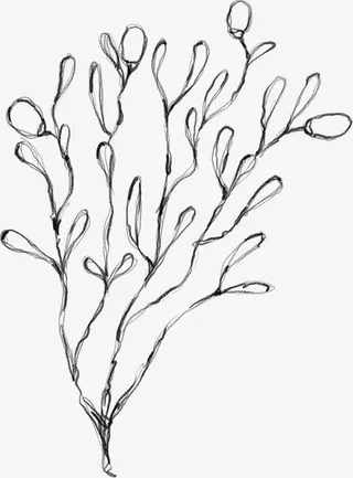 水墨花朵元素35免抠