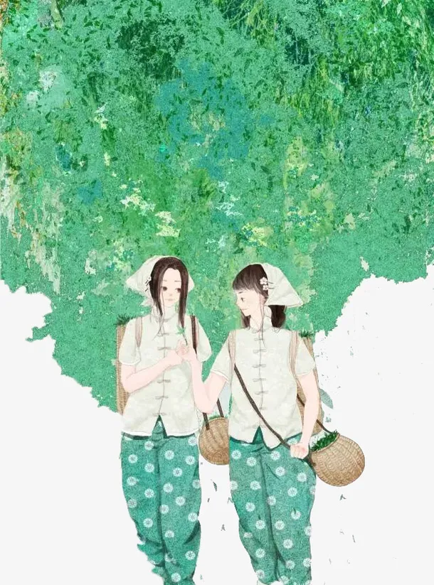 采茶插画手绘免抠