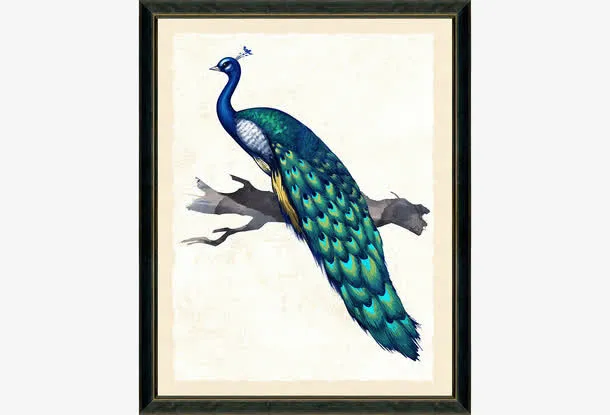 艺术剪影手绘装饰画图片  孔雀免抠