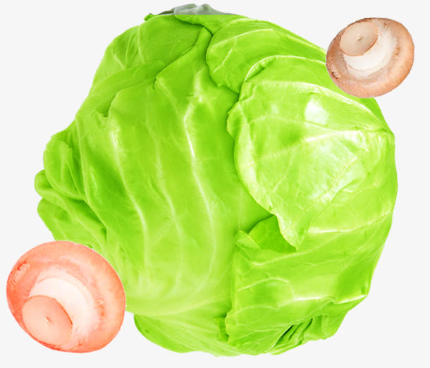 包菜沙拉素材免抠