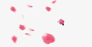 飘浮花瓣免抠