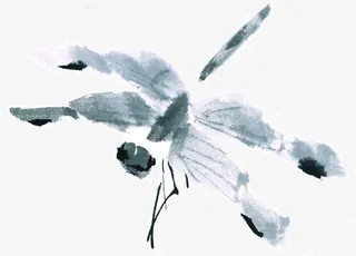 水墨蜻蜓免抠