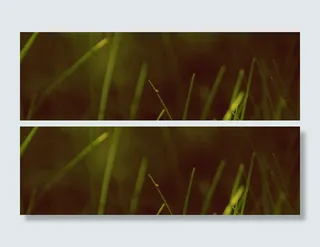 小生命背景高清