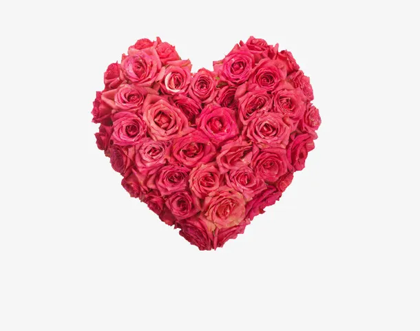 玫瑰花桃心免抠