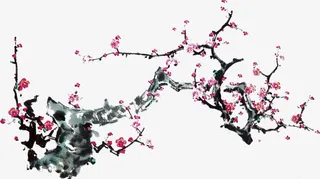 手绘粉色梅花树枝装饰插图免抠