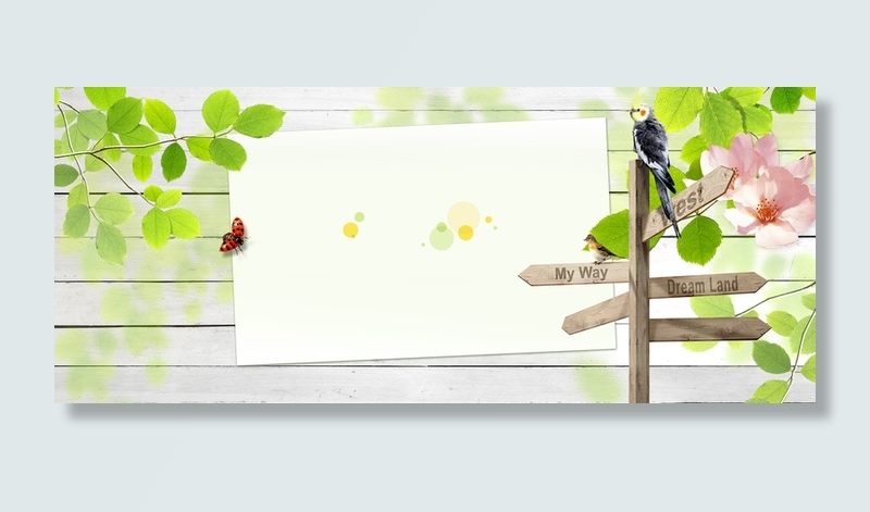 春天几何纹理白色banner背景高清