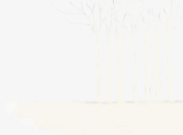 白色干枯杨树冬季免抠