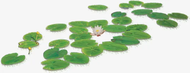 绿色荷叶水墨荷花免抠