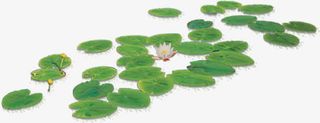 绿色荷叶水墨荷花免抠