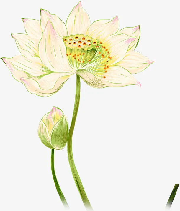 白色荷花水墨画夏天免抠