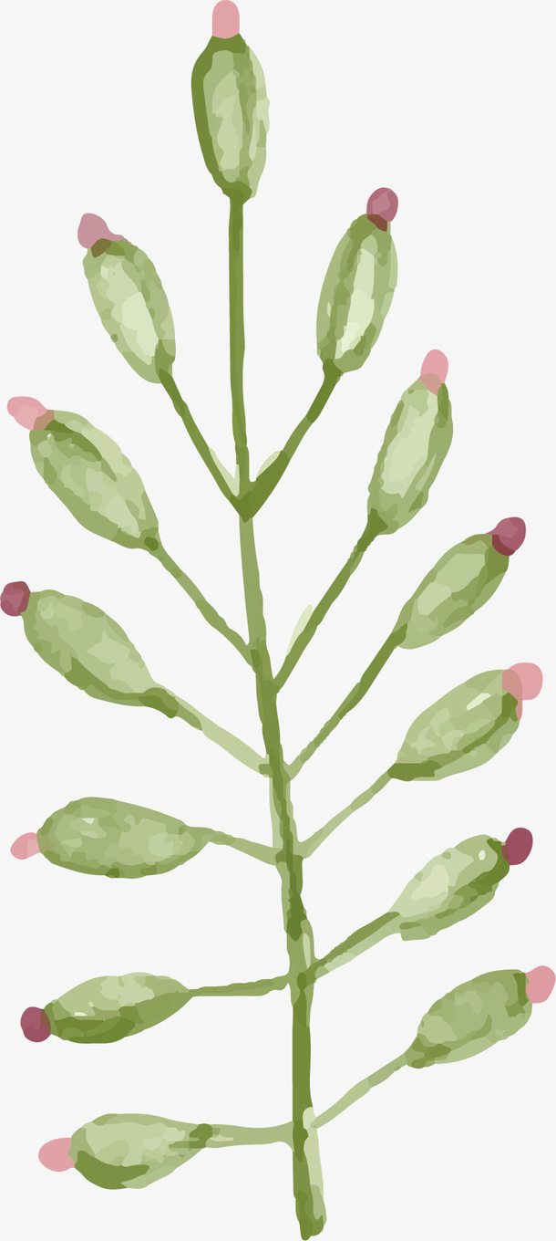 春天绿植免抠